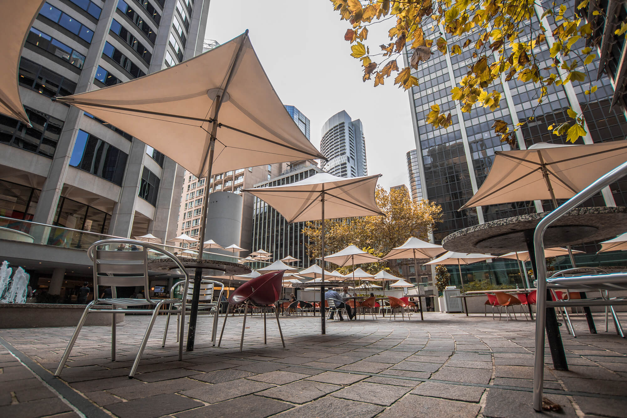 Australia Square Café